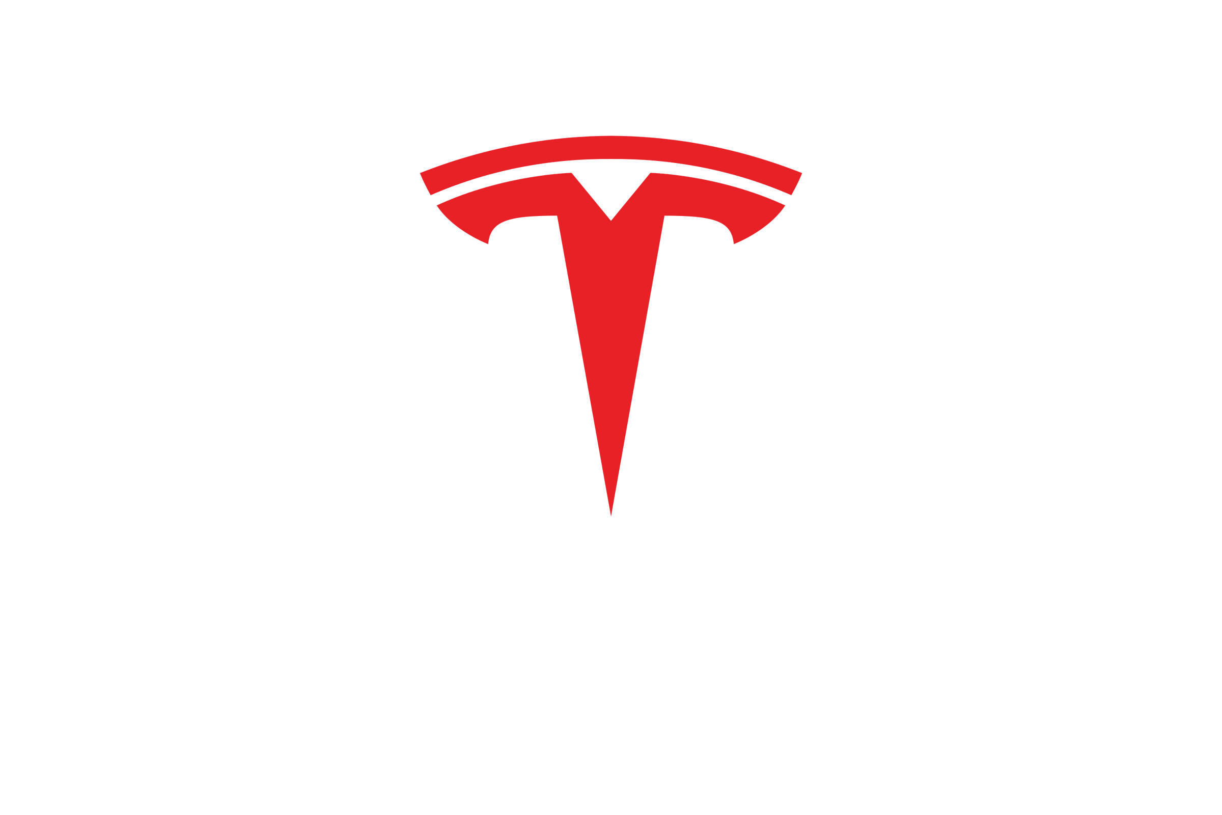 Tesla Coilovers